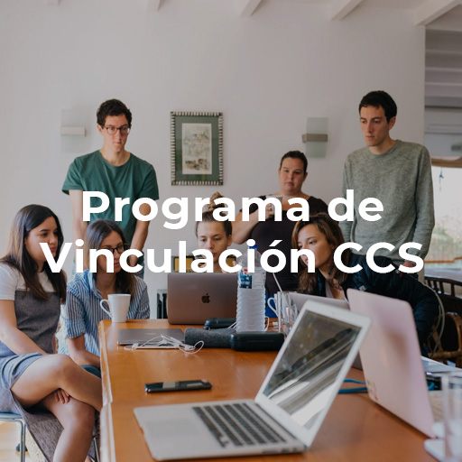 Programación Vinculación CCS