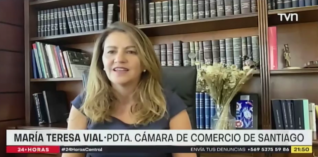 María Teresa Vial sobre orden de erradicar comercio ambulan...