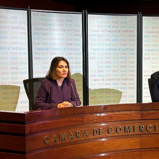 Entrevista a Yerka Yukich, directora ejecutiva de e-Commerc...