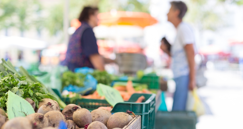 Total de trabajadores informales supera los 2,5 millones