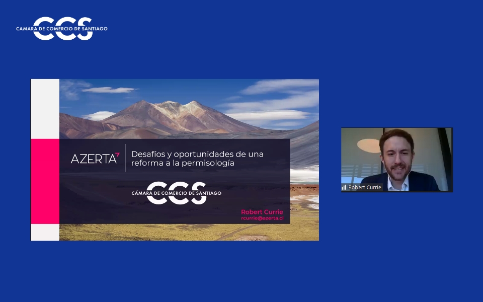 Comité Apoyo Legislativo: Desafíos y Oportunidades de una Refor...