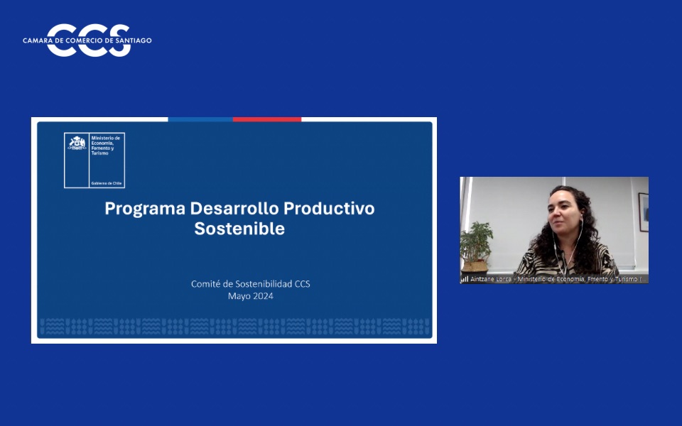 Comité de Sostenibilidad CCS revisa la Agenda de Desarrollo Prod...