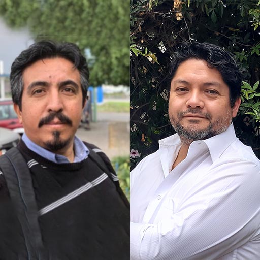 Sealing Roofing Check